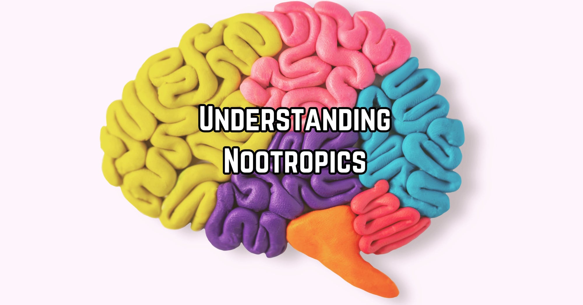 Nootropics Guide